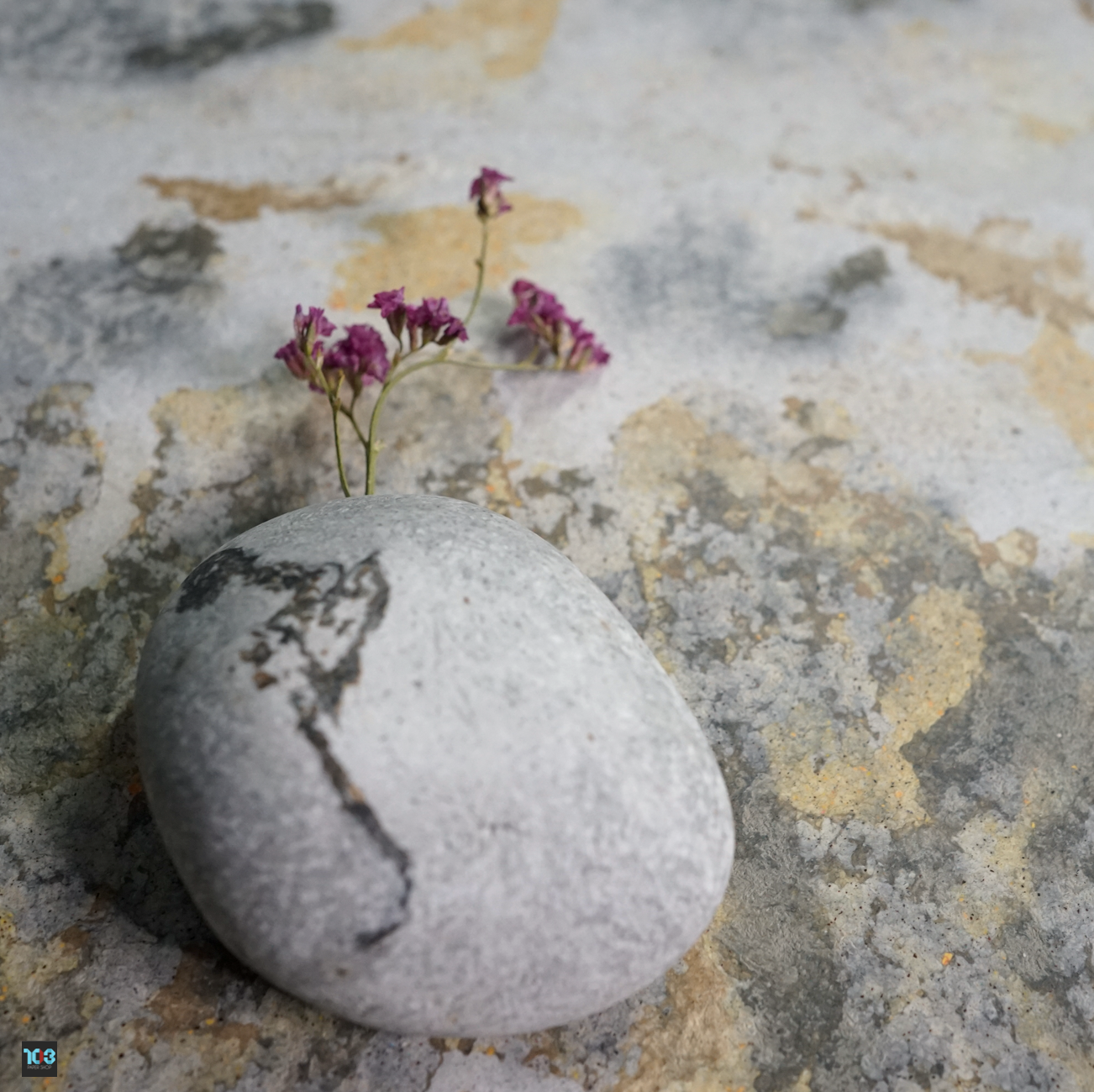 Rak / รักษ์  - Wall Art Decorate -  Our designs give new life to recycled paper and other natural materials,  Handmade sculptures , Which is created piece by piece.