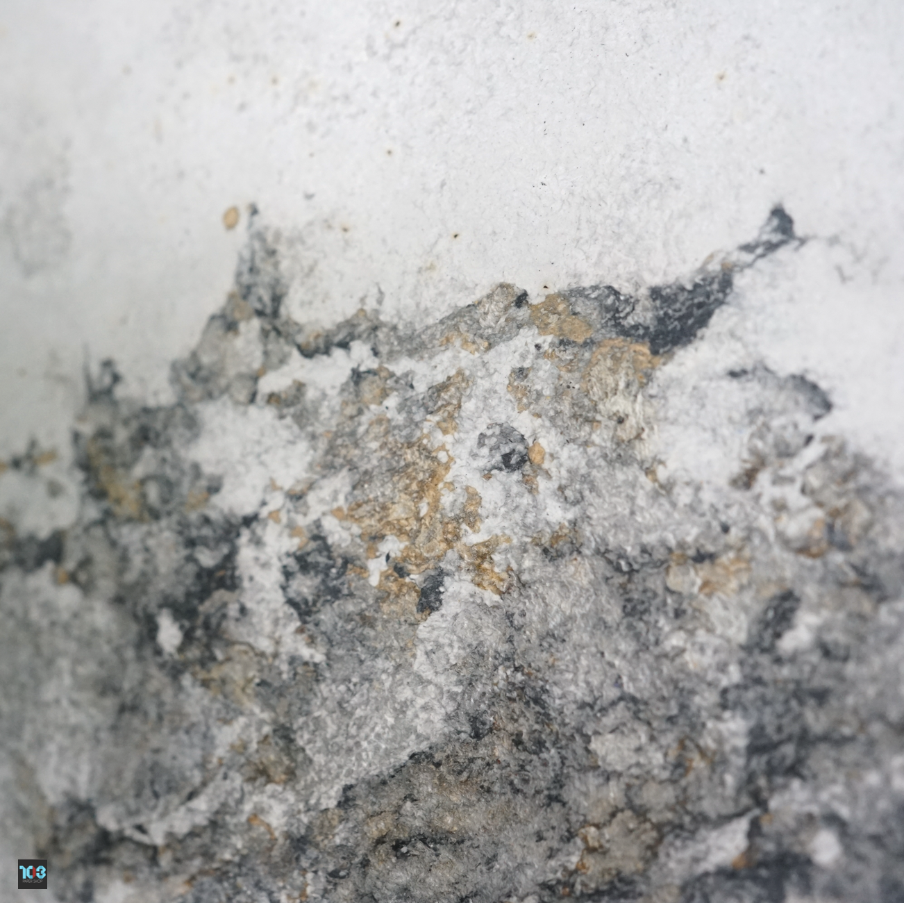 Rak / รักษ์  - Wall Art Decorate -  Our designs give new life to recycled paper and other natural materials,  Handmade sculptures , Which is created piece by piece.